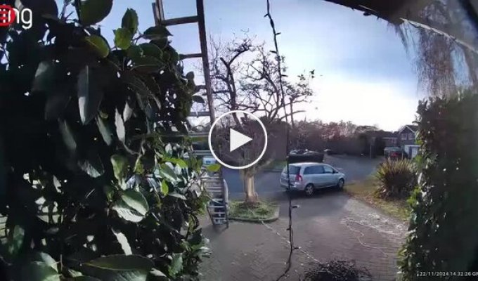 Holiday mishap: man falls down stairs while hanging fairy lights