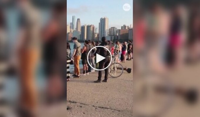 Сотни жителей Чикаго собираются на набережной, чтобы поорать