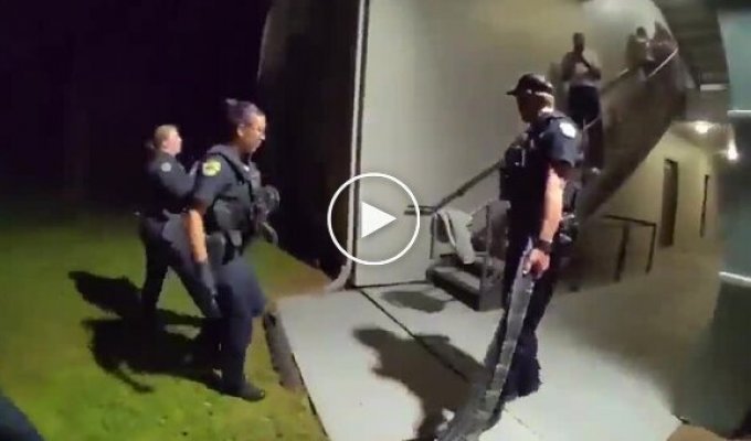 An unusual find: an alligator entered a residential building A house in Orlando