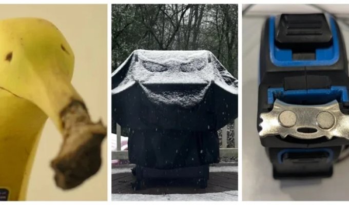 25 stories about how the world passionately draws cartoons for us (26 photos)