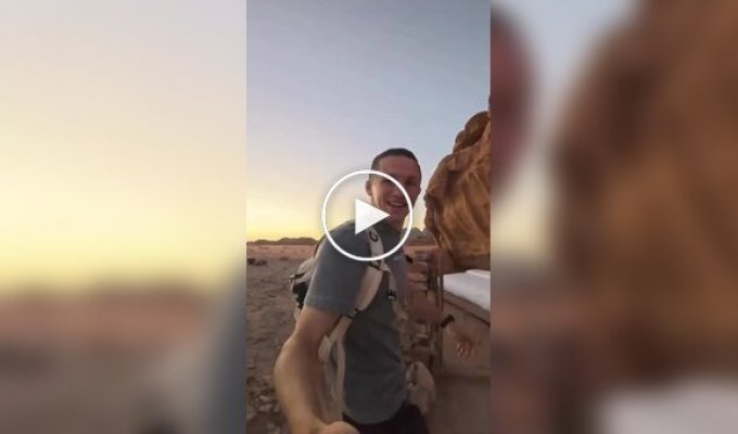 Crazy Airbnb Accommodation