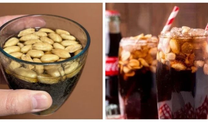 Японці відкрили для себе колу із солоним арахісом (6 фото + 1 відео)