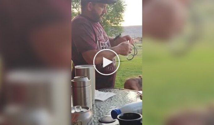 Рогатка чуть не уничтожила имущество