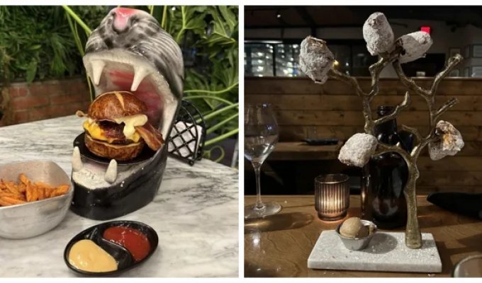 20 учасників святкового марафону незвичайних, але естетичних страв (21 фото)