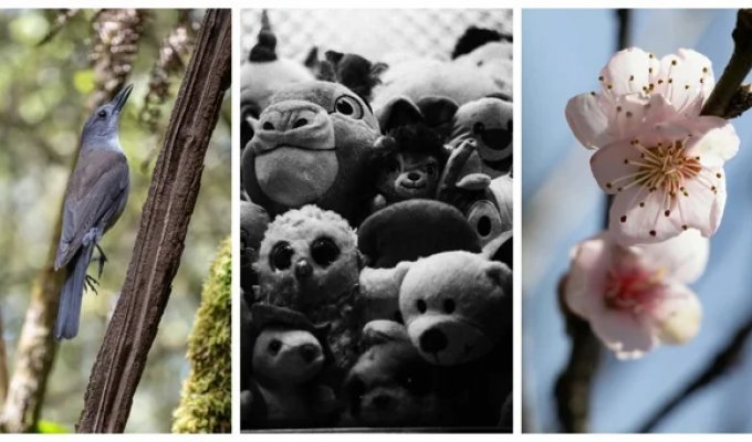 30 снимков, запечатлевших простую красоту нашего мира (31 фото)