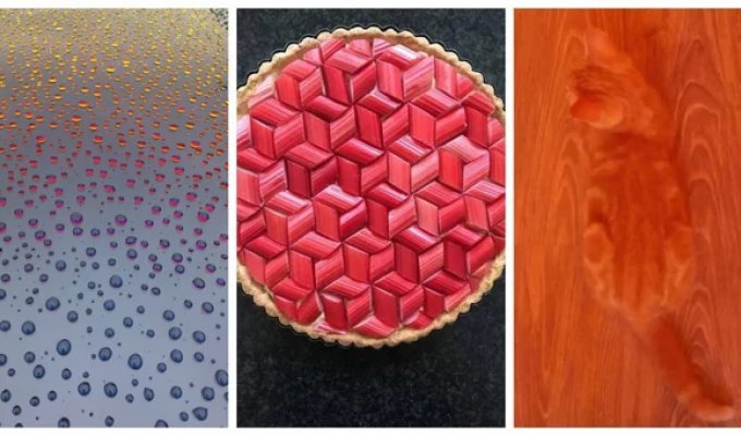 30 examples of perfect harmony that will be a delight for perfectionists (31 photos)