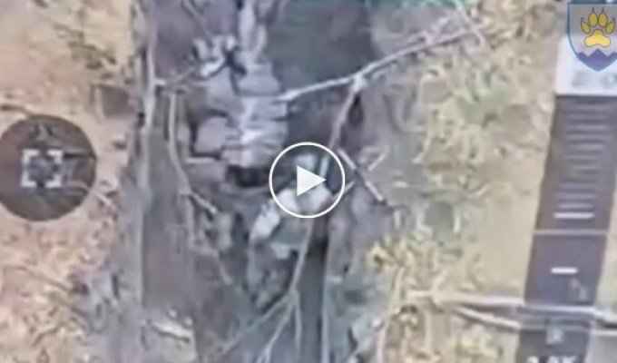 The occupier finishes off his wounded comrade with a rifle butt to the head