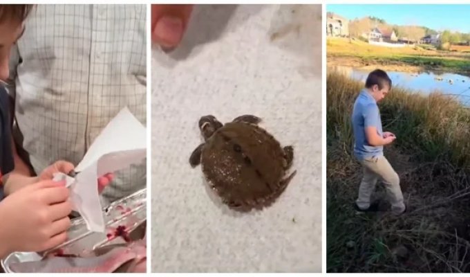 A father and son found a live turtle inside a fish (2 photos + 1 video)