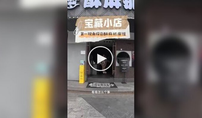 Парень открыл салоны, где людей чешут за деньги