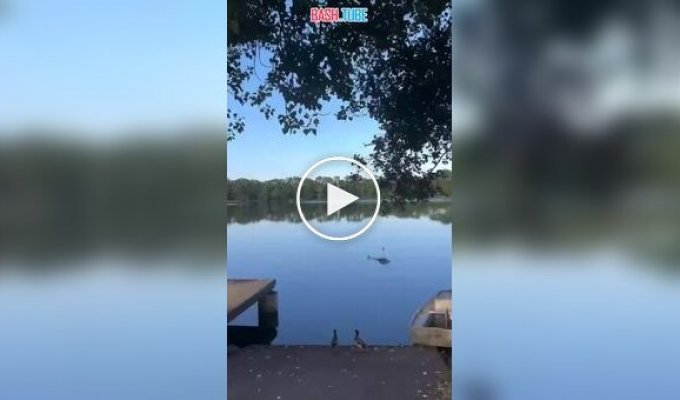 A fire helicopter crashed into a pond in France
