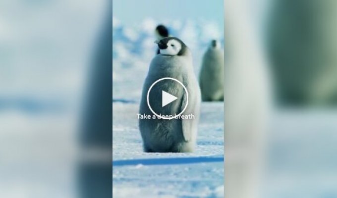 The level of calm you should strive for