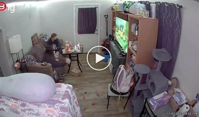 A man panicked over a spider