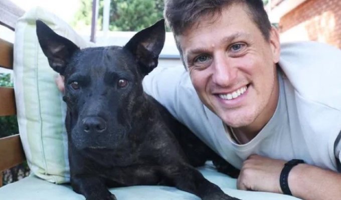 ИИ почти излечил собаку от рака (4 фото)