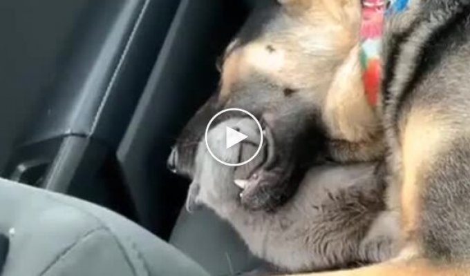 Quiet and peaceful sleep