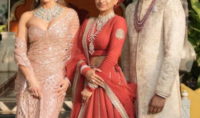 Indian wedding (6 photos + 3 videos)