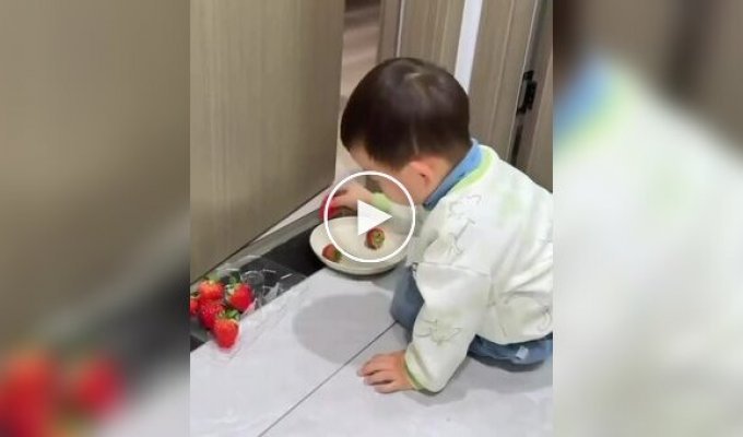 Mom explained to her son how investments work — using strawberries as a visual aid