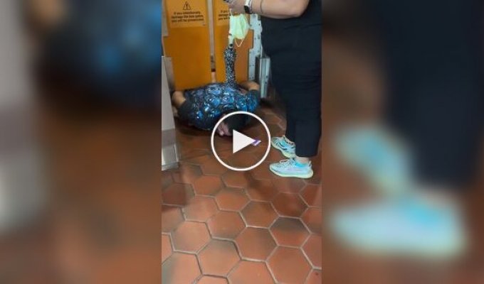 An Attempt to Pass Without a Ticket Ended in Stuckness