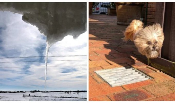 25 photos that will make your brain reboot (26 photos)
