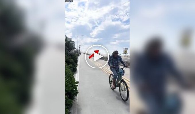 Пилот чудом посадил самолет на пляже в Сан-Диего