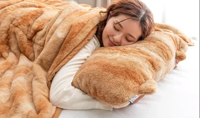 Cat-shaped bedding (9 photos)