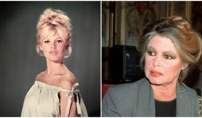 End of an era: The world says goodbye to Brigitte Bardot (5 photos)