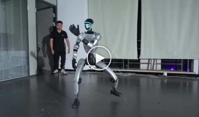 People continue to bully robots