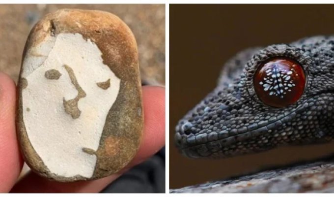 20 natural masterpieces that were the result of an accident (21 photos)