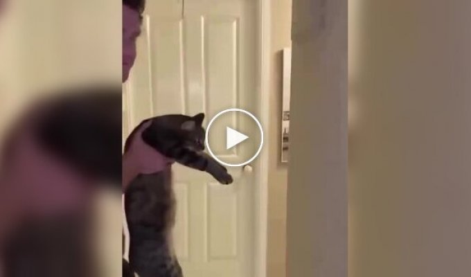 A humorous intelligence test for pets