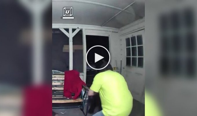 A bear attacked a dog, and the owner rushed to save his pet with his bare hands