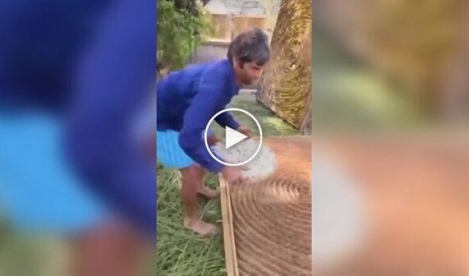 В Индии раскрыли тайну создания шелка, который ценят по всему миру