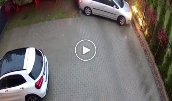 Талановитий водій