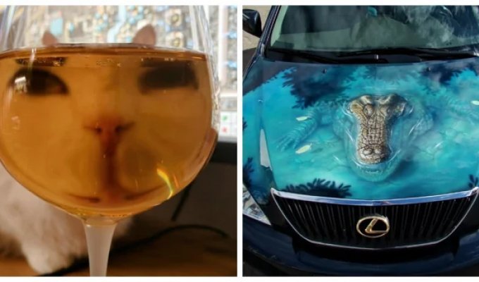 20 funny moments proving that there is always room for positivity in our world (21 photos)