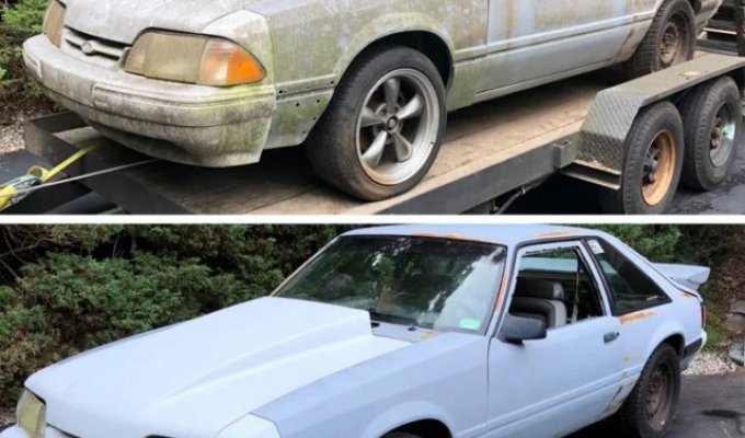 Вся сила чистоты (19 фото)