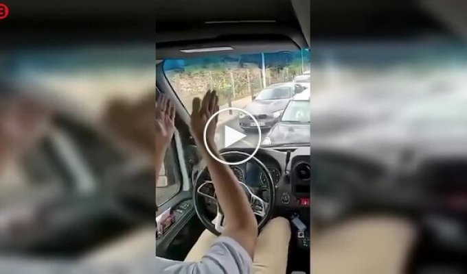 В Нидерландах водитель попытался объехать пробку по встречке — не вышло