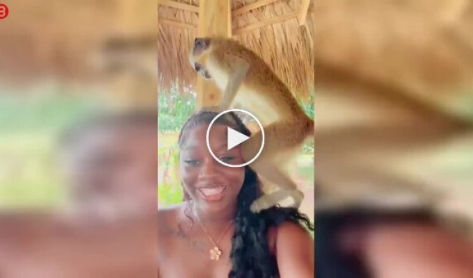 Фото з мавпою обернулося несподіванкою