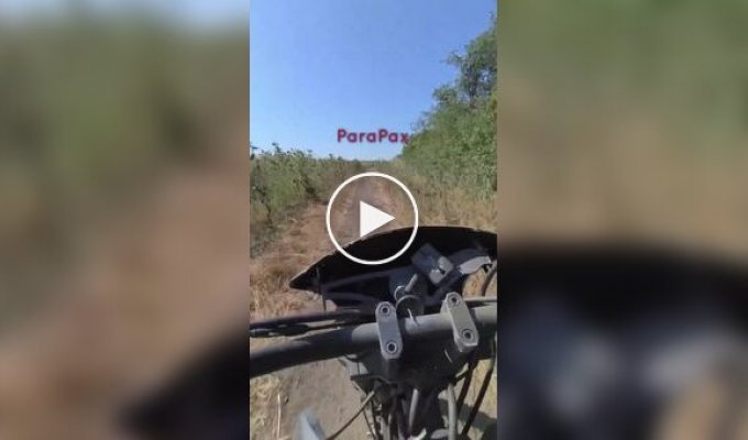 Head-on collision of two Russian motorized assault aircraft on a narrow dirt road