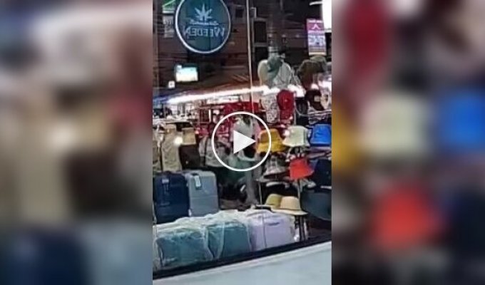 A Tourist Stole a Suitcase and Calmly Walked Away