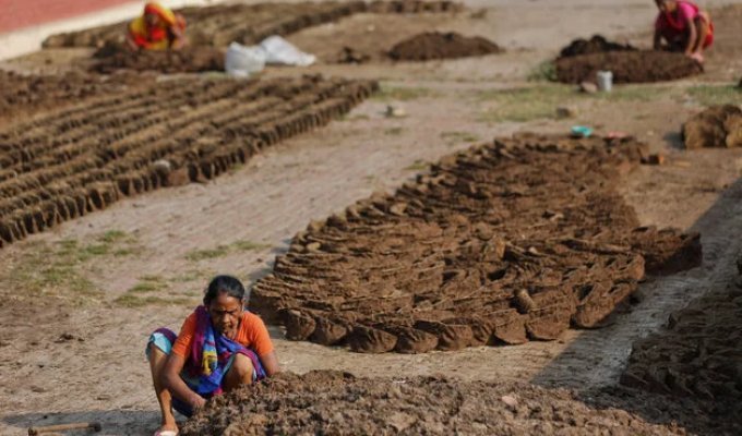 Тут нет победителей — драка коровьим навозом (6 фото)