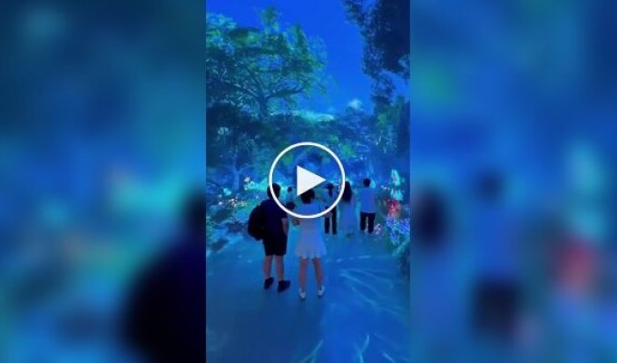 Another dimension: Space and Time Cube digital art center filmed on video & Time Cube, Video, People, Malaysia, in the world, cool, digital art center