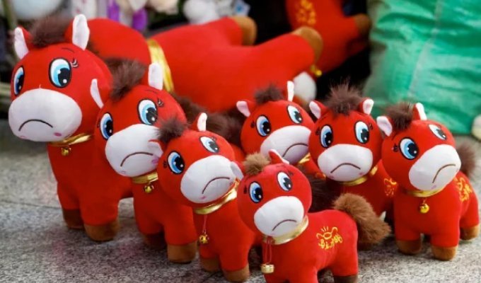 A Disgruntled Symbol of Chinese New Year (3 photos)