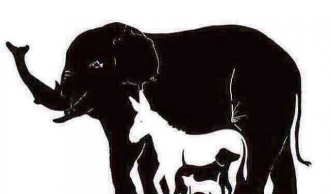 Скільки тварин ви бачите на цій картинці? (2 зображення)