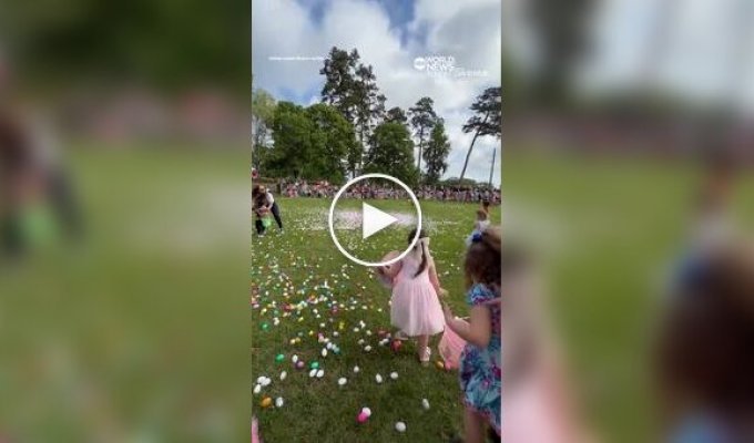 Дівчина врятувала дитину від «яєчного дощу»