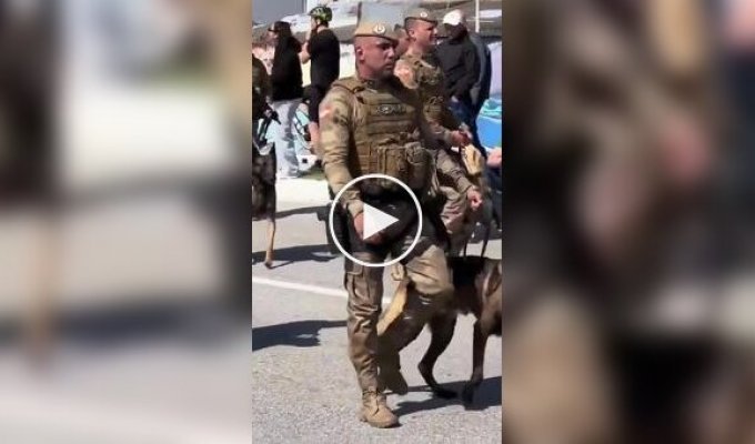 С ретривером не соскучишься
