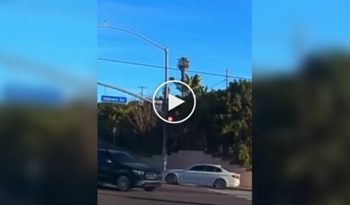 Однорічний малюк випав на ходу з машини в США і чудом вижив