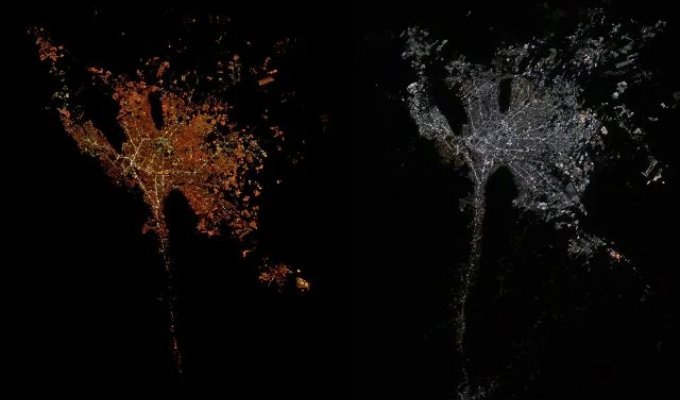 A 'Blue Light' Epidemic Is Sweeping the Globe and Destroying Our Sleep (4 photos)