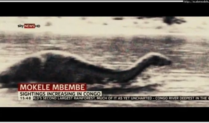 У пошуках Мокеле-мбембе (4 фото)