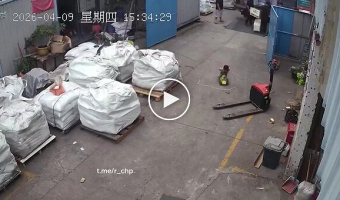 Коли тато взяв із собою на роботу