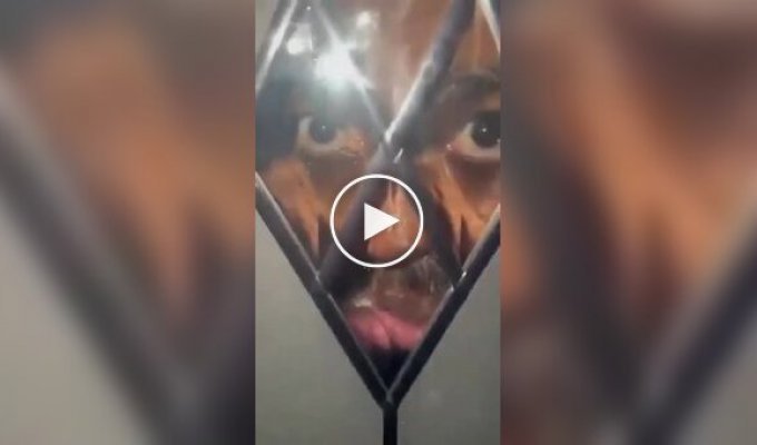 In England, an unknown person looked through the glass door of a house at night