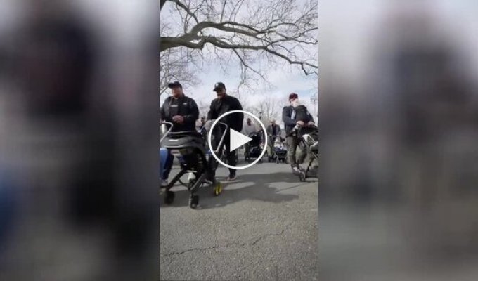 В Нью-Йорке набирает популярность Brooklyn Stroll Club — комьюнити молодых отцов