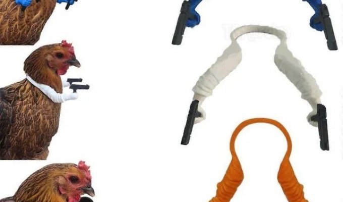 The best things to buy for a village (2 photos + video)